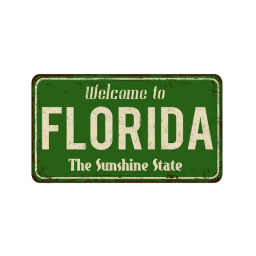 Florida Vintage State Metal Plate