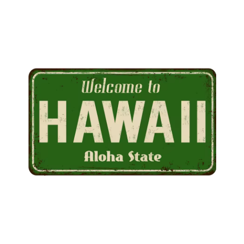 Hawaii Vintage State Metal Plate