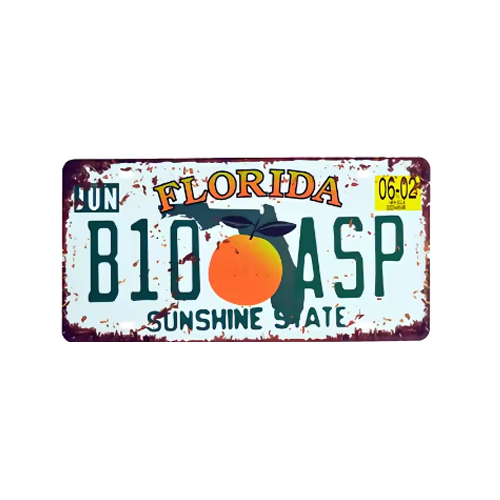 Florida Vintage State Metal Plate